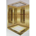 Fjzy-High Quality and Safety Home Lift Fjs-1605